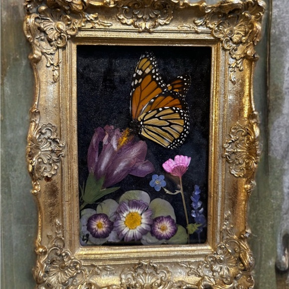 Other - Unique Rare Pressed Flowers and Genuine Butterfly taxonomy Floral Art.